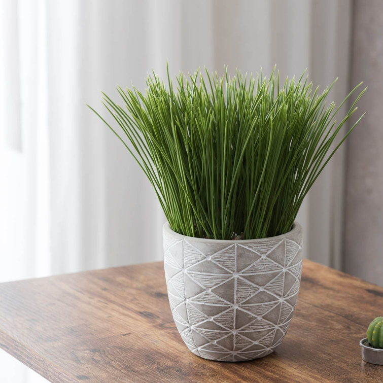 Primrue 5'' Artificial Reed Plant in Pot & Reviews Wayfair